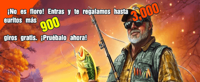 Accede rápido con 365bet login
